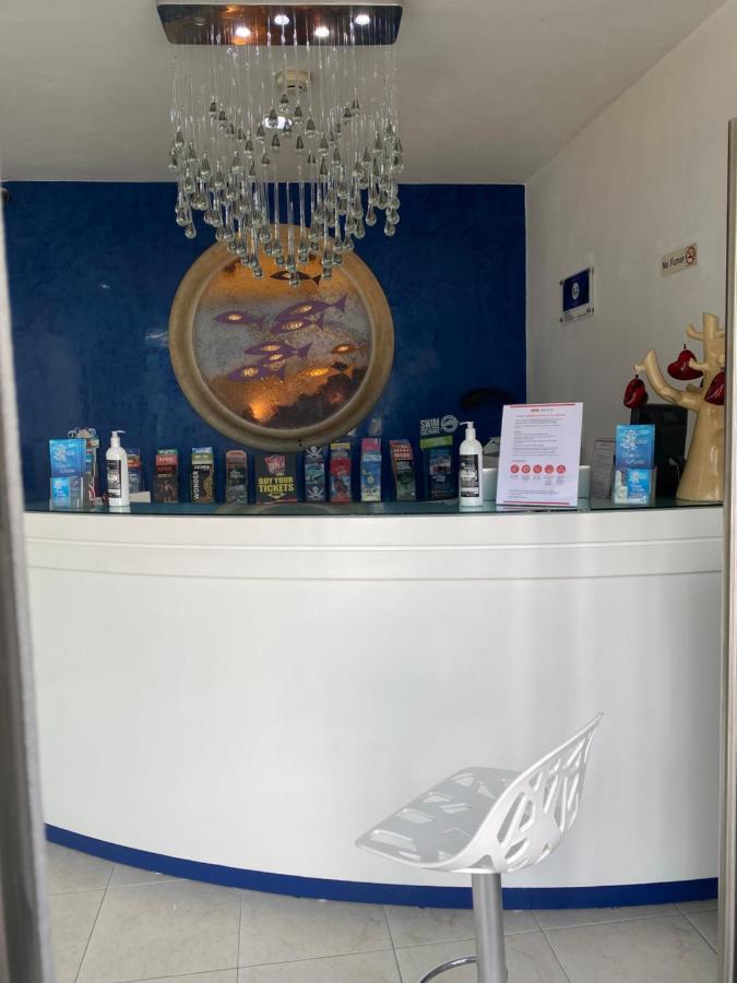 ホテル Quinta Santa Anita プレヤデルカーメン エクステリア 写真