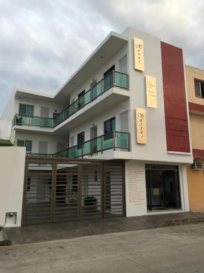 ホテル Quinta Santa Anita プレヤデルカーメン エクステリア 写真