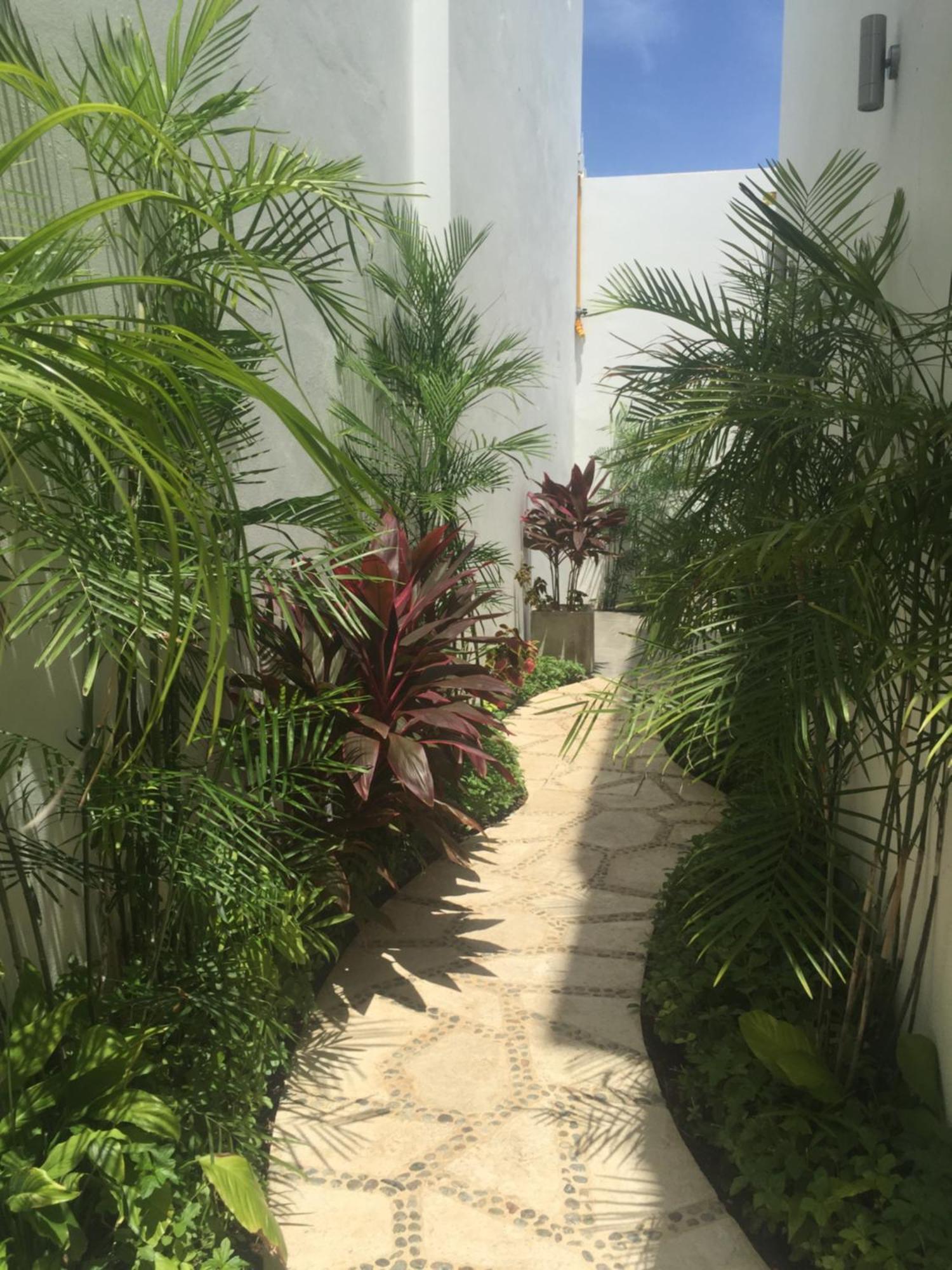 ホテル Quinta Santa Anita プレヤデルカーメン エクステリア 写真